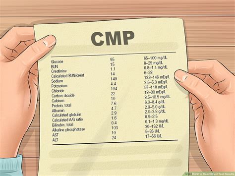 Understanding Your Test Results 